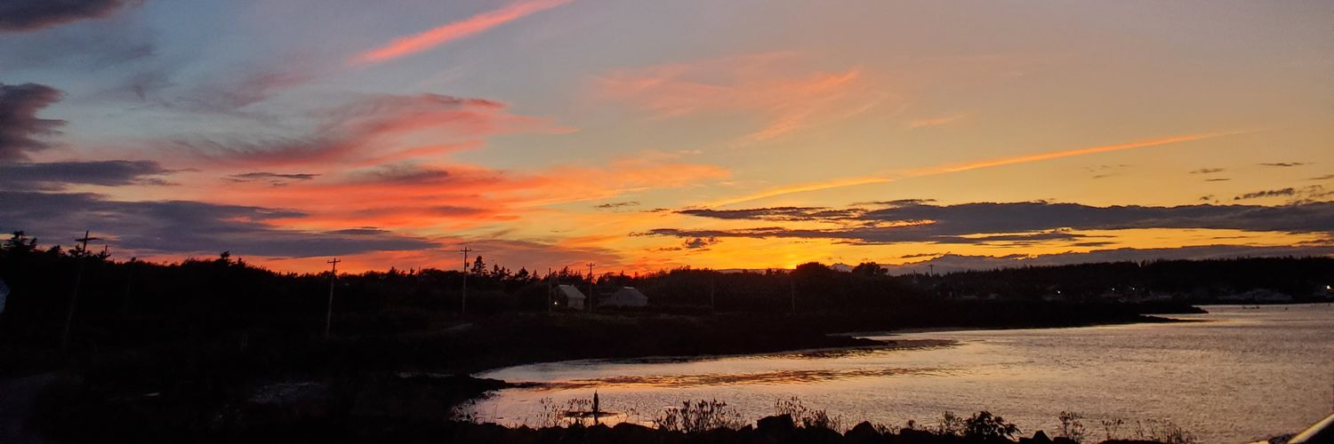 Melissa McCallum banner