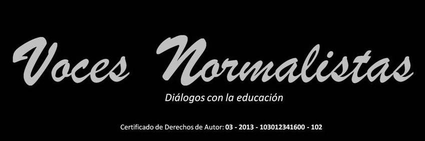 VNormalistas's profile banner image