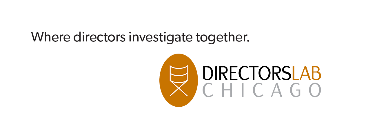 DirectorsLabCHI's profile banner image