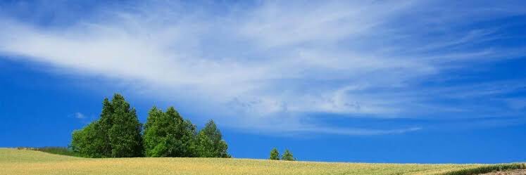 tana1024's profile banner image