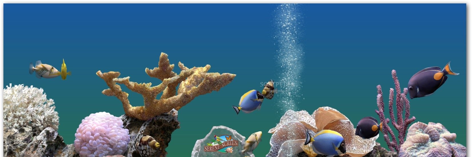 fishallday2's profile banner image