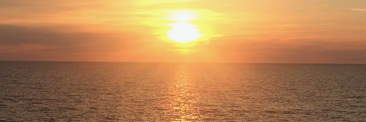 druviete's profile banner image