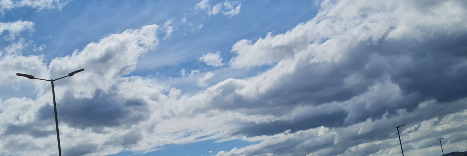 MinnieMonkey16's profile banner image