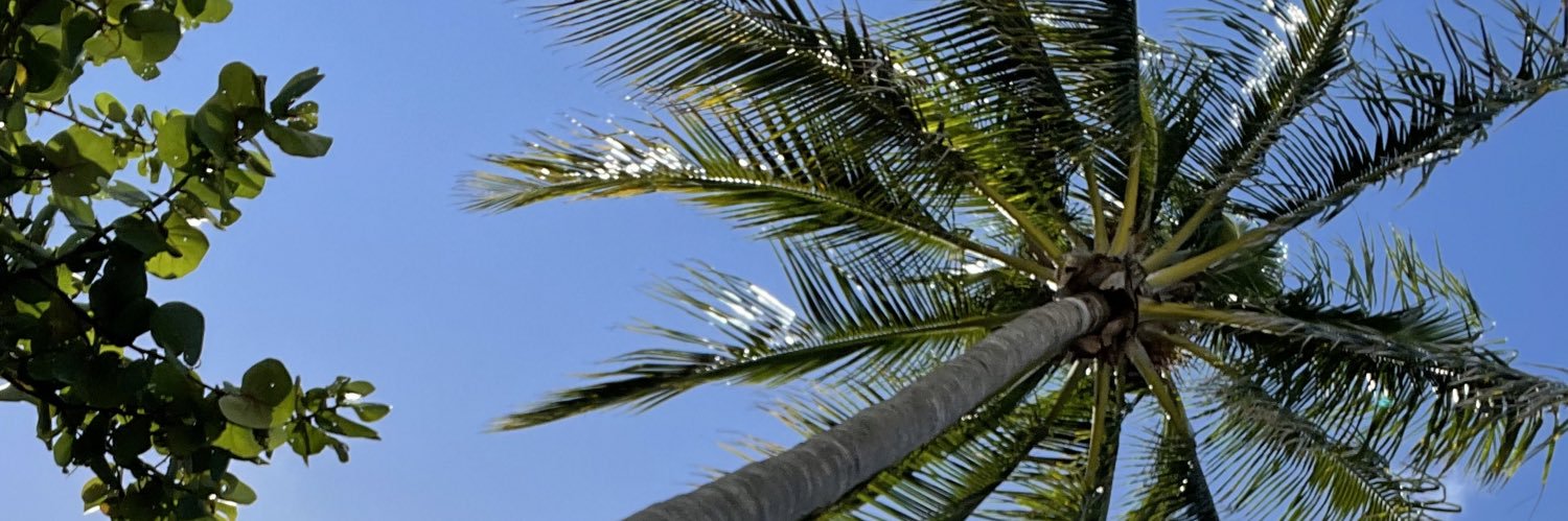 oliviaomgg's profile banner image