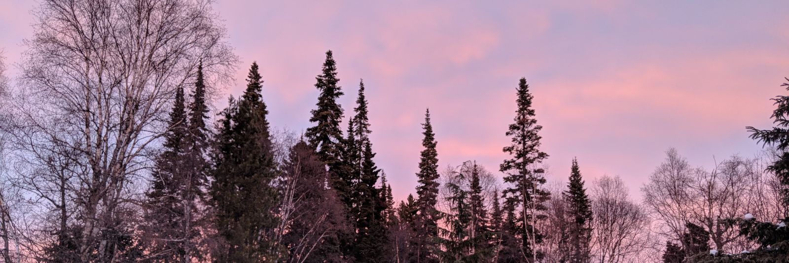 cateykins09's profile banner image