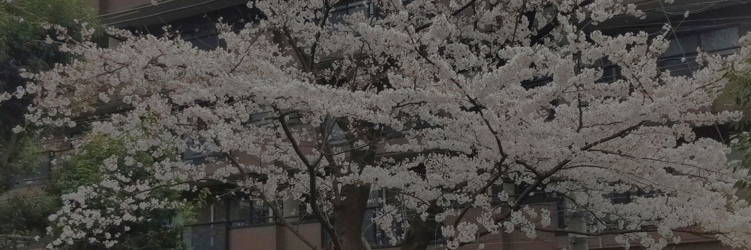 shin1302s's profile banner image