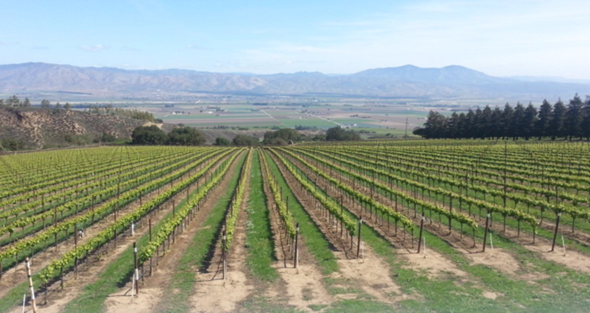 Monterey_Tours's profile banner image