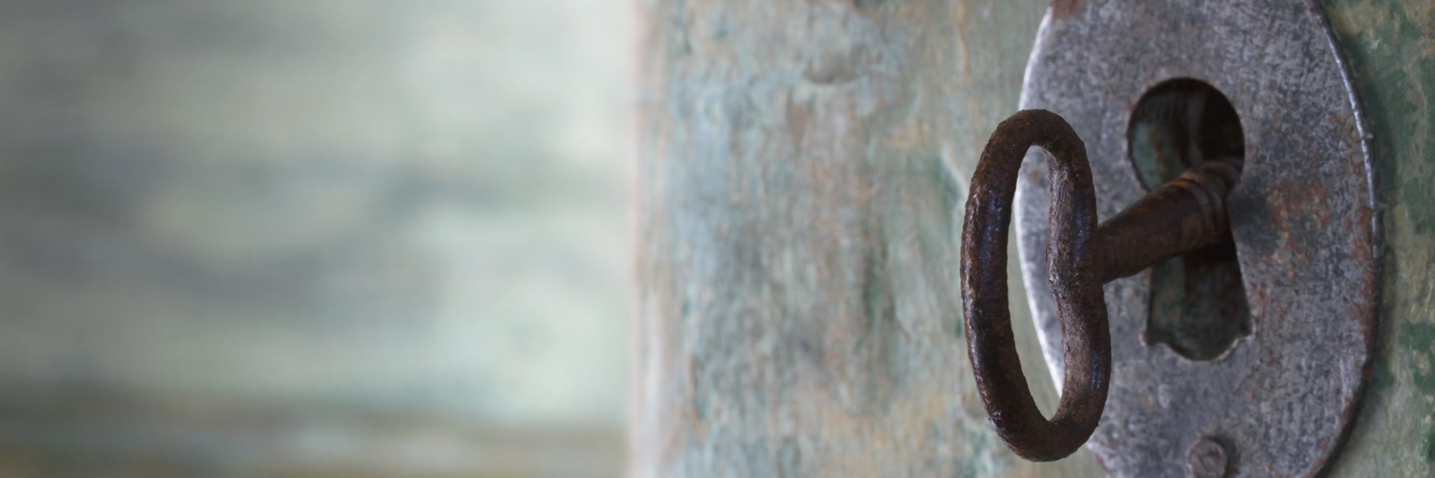 LynneRaatz's profile banner image