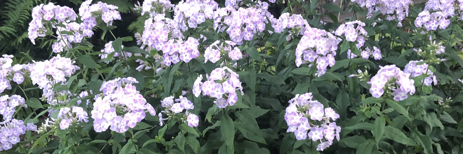 briggschloe's profile banner image