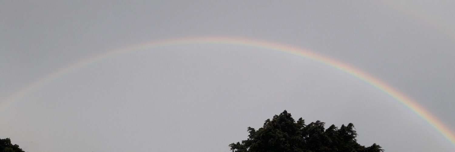 K_Tokue's profile banner image