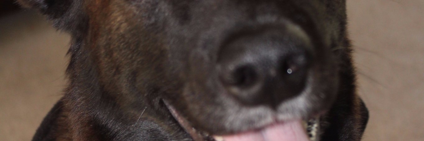 ashleyqm13's profile banner image