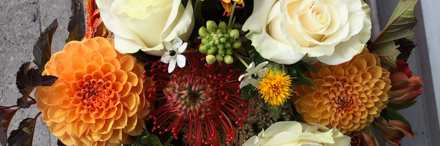WilBeBloomin's profile banner image