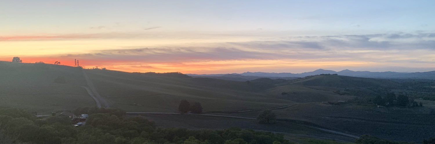 Ivana Malenica banner