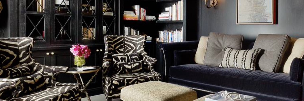 RAPHael Small banner