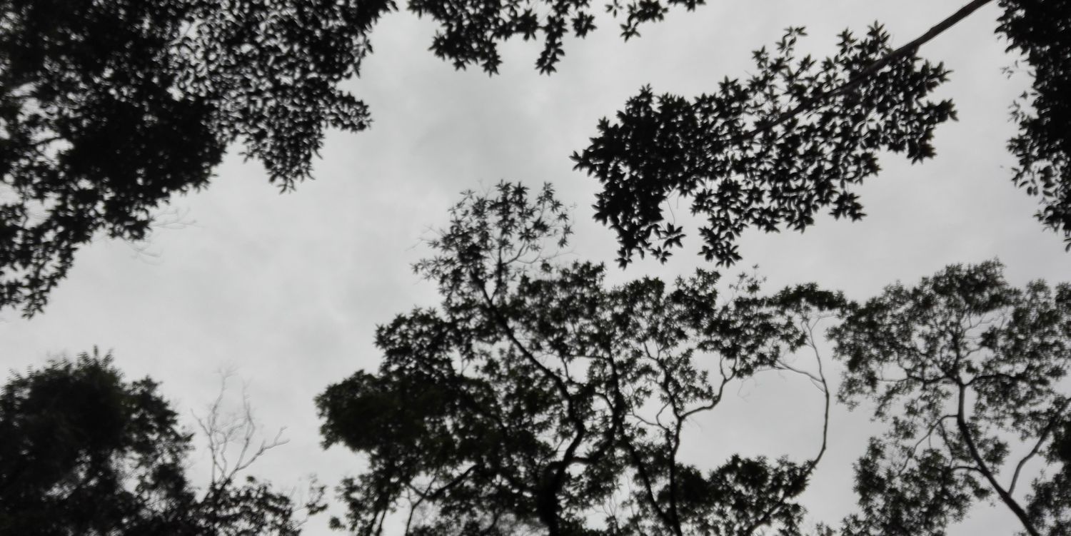 AngieSAcosta's profile banner image