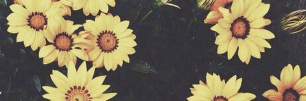 madisonshaw94's profile banner image