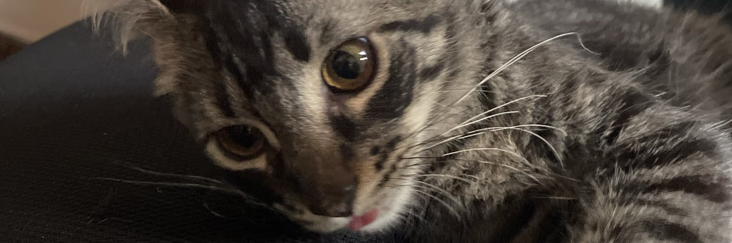 eobarcos's profile banner image