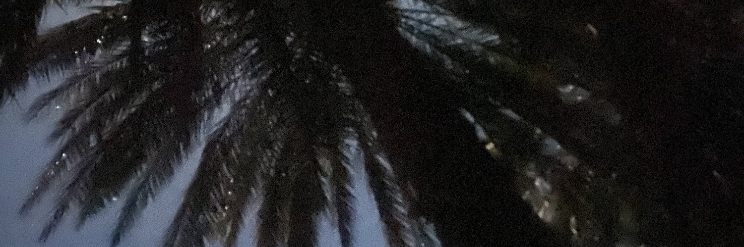 _mohvmed__'s profile banner image