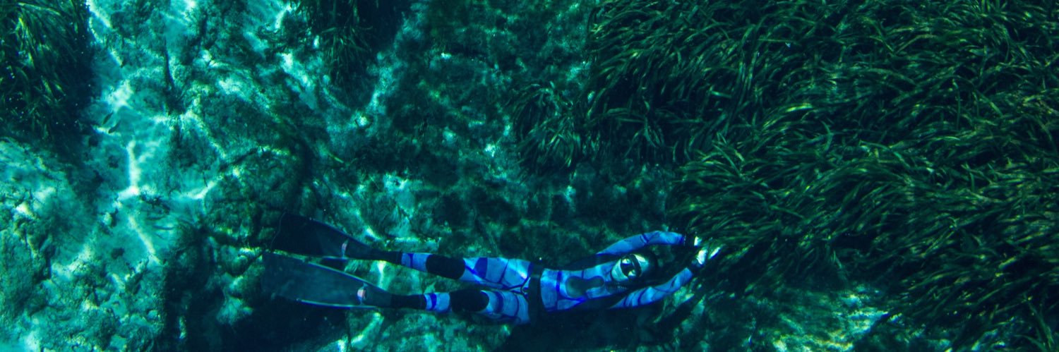 Kamala Magyer banner