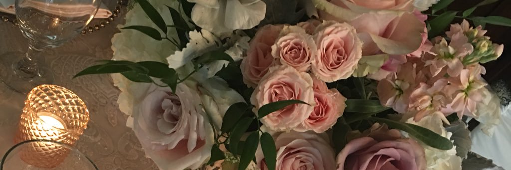 studio1524's profile banner image