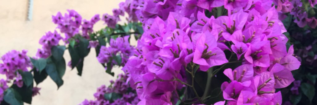 dusgray's profile banner image