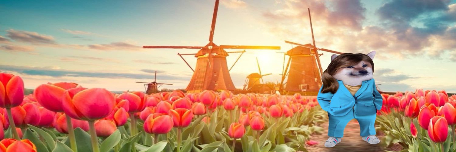 Eva 🇳🇱🇪🇺 🇺🇦👱🏻‍♂️🐈's banner