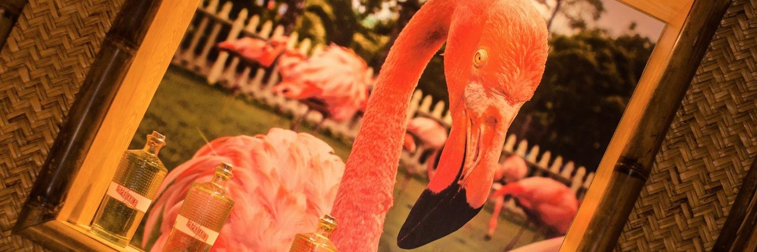 lasalsanera's profile banner image