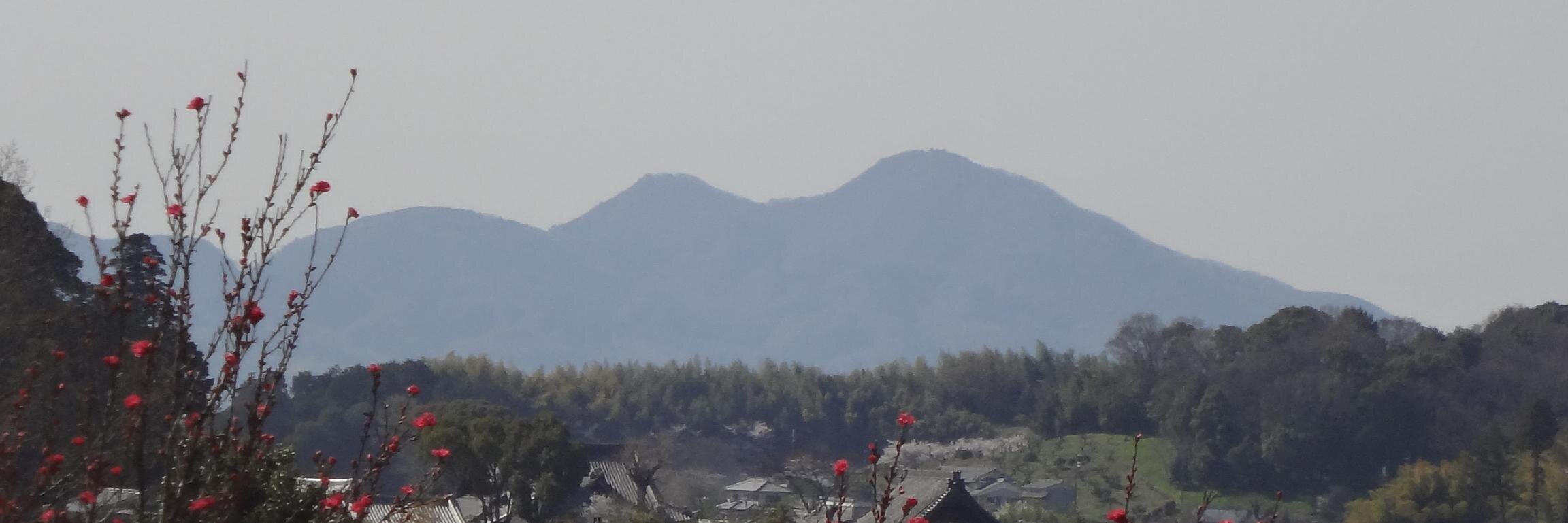 馬酔木 banner