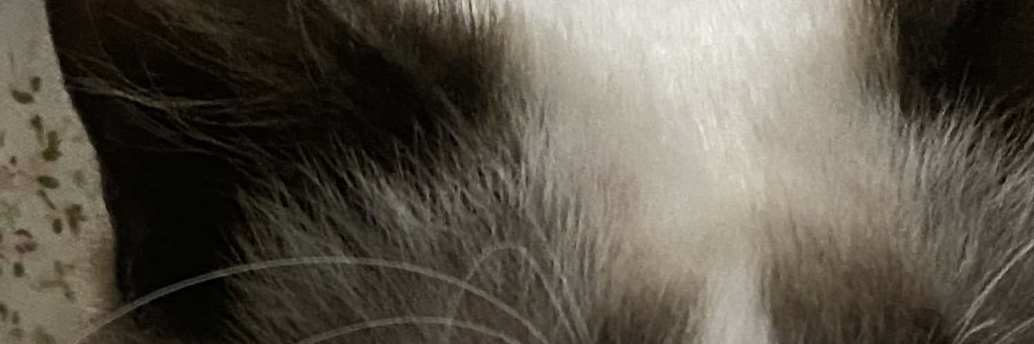 lchsod's profile banner image