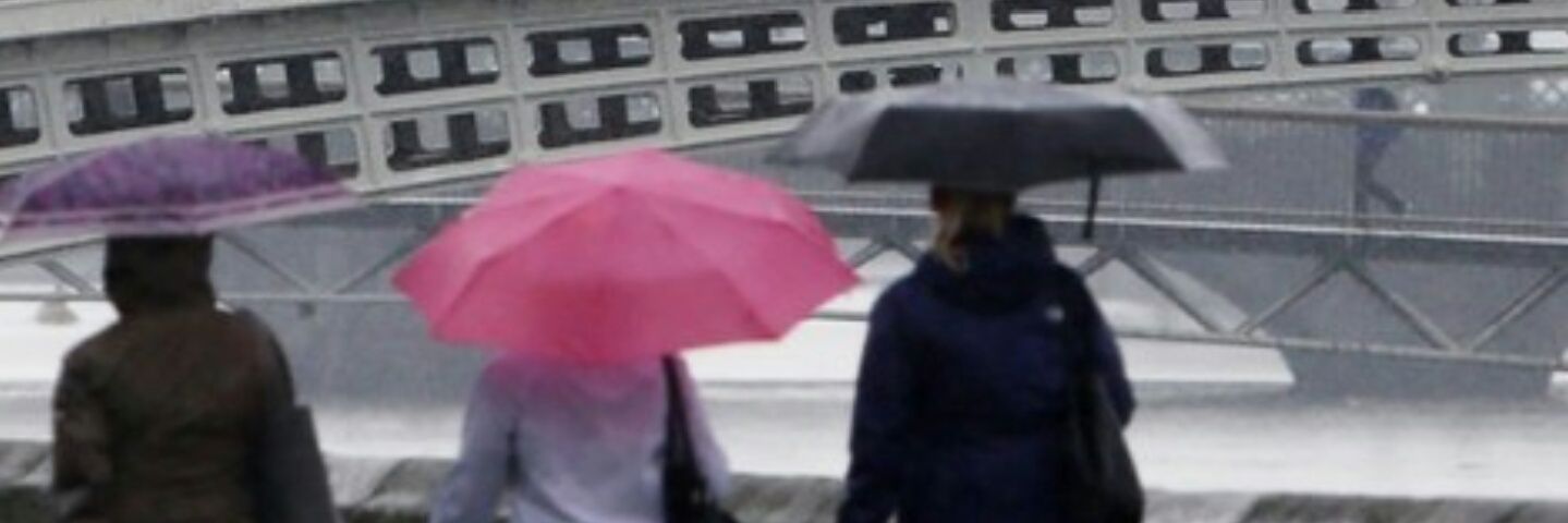 shsron_l's profile banner image