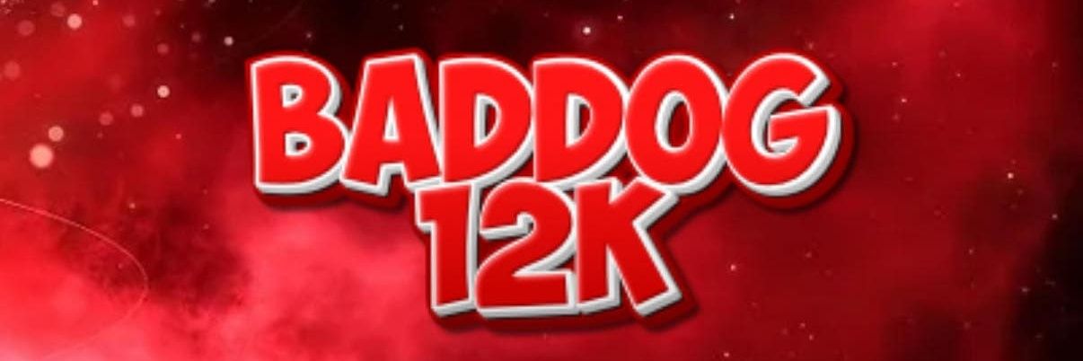 baddog12k's profile banner image