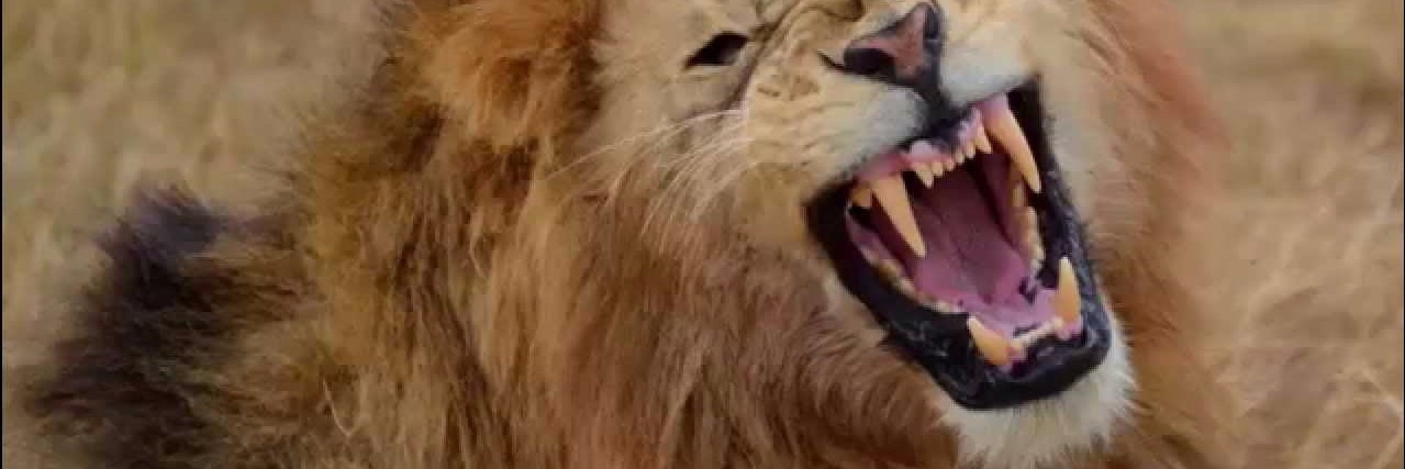 33kingofking's profile banner image