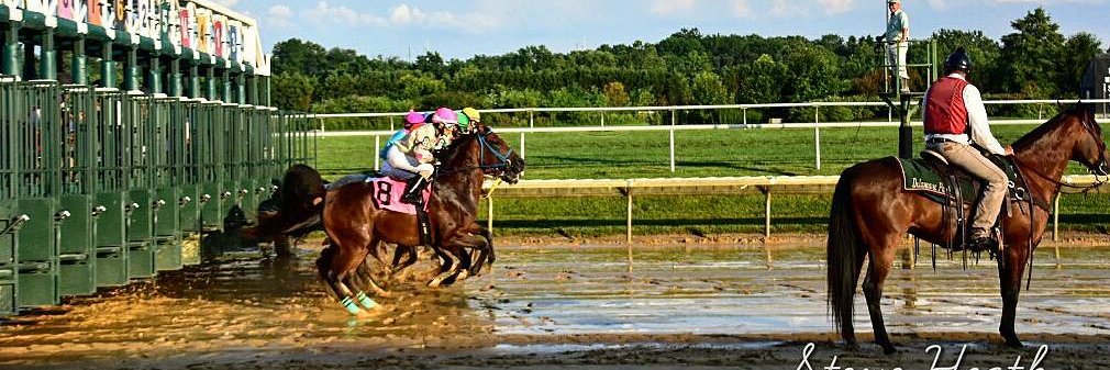 Arabian Finish Line banner