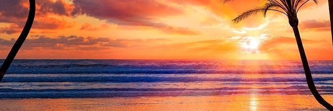 PhoebeDC's profile banner image