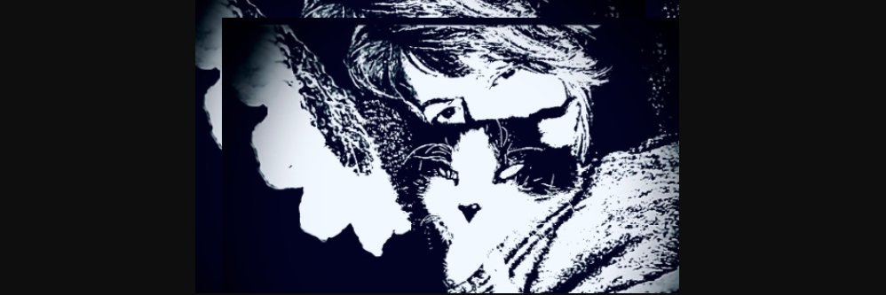 kelleAbond's profile banner image