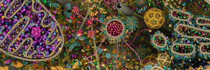 medium quality banner