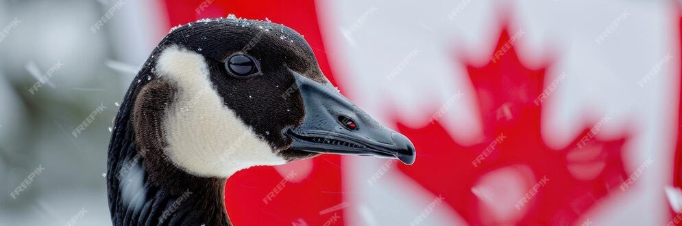 L.-C. Campeau Ph.D.'s banner