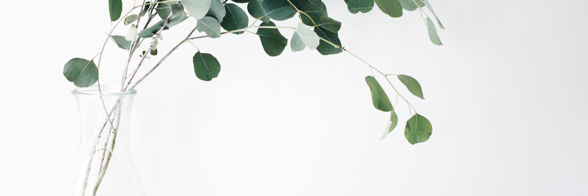 terriling's profile banner image