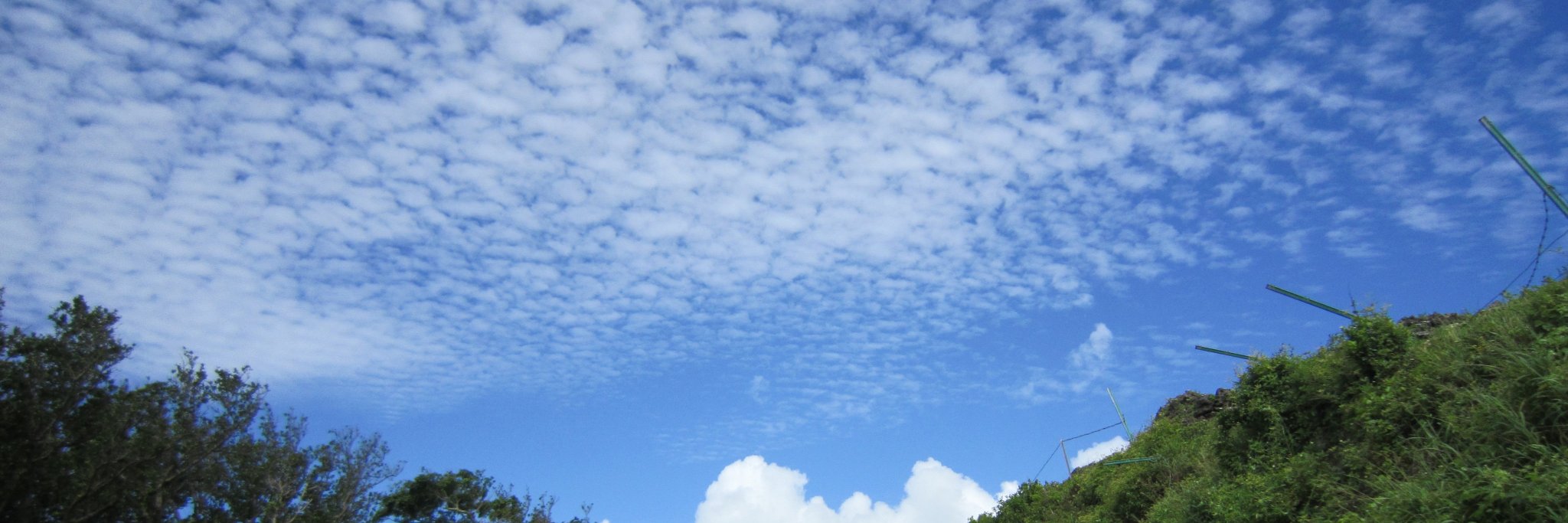 iriomote_linx's profile banner image