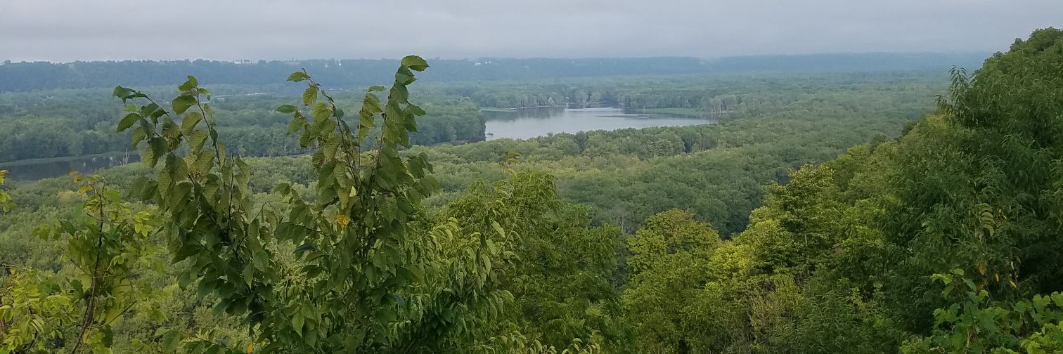 RonLaunson's profile banner image