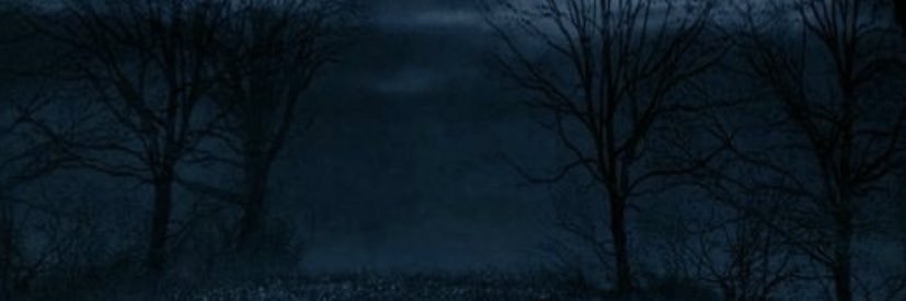 saeed_thoughts's profile banner image