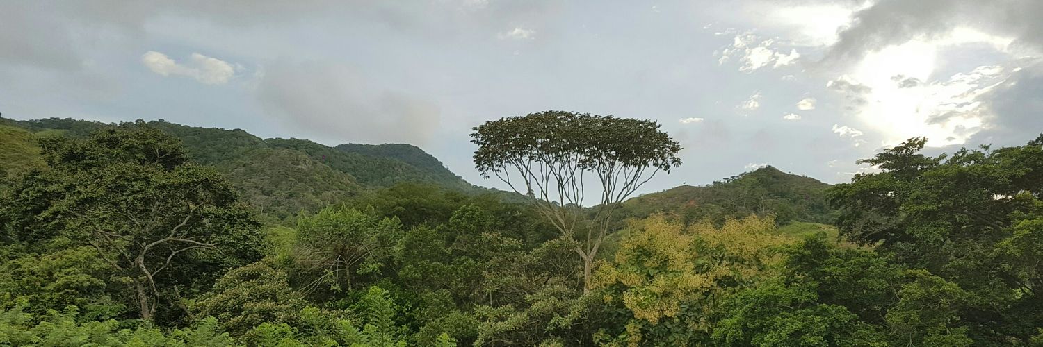 Eduardo Flores C. banner