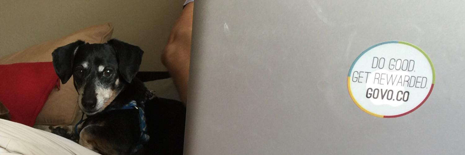 govoluntr's profile banner image