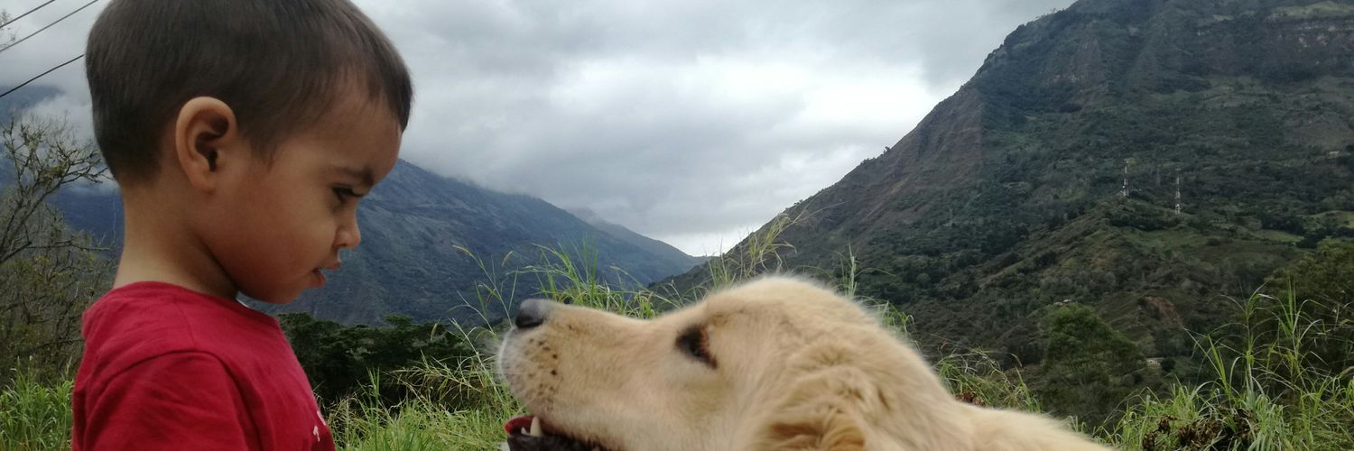 HeiderLogattoCuadros banner