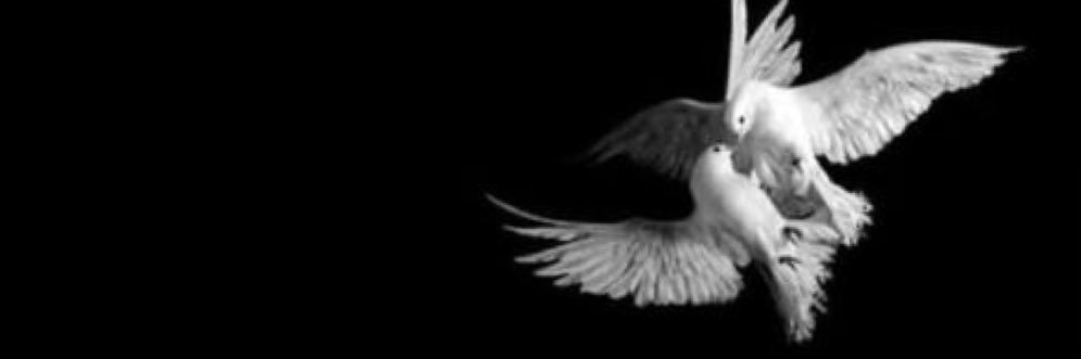 AnthemJC's profile banner image