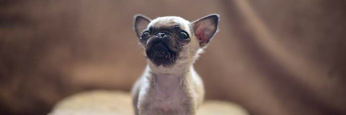 weve reentered sad lil wristo era banner