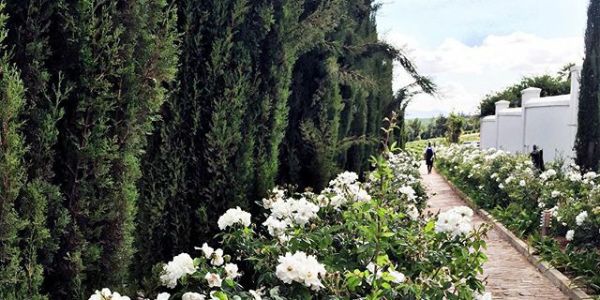 debbyseabi's profile banner image