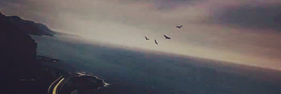 dlenam's profile banner image