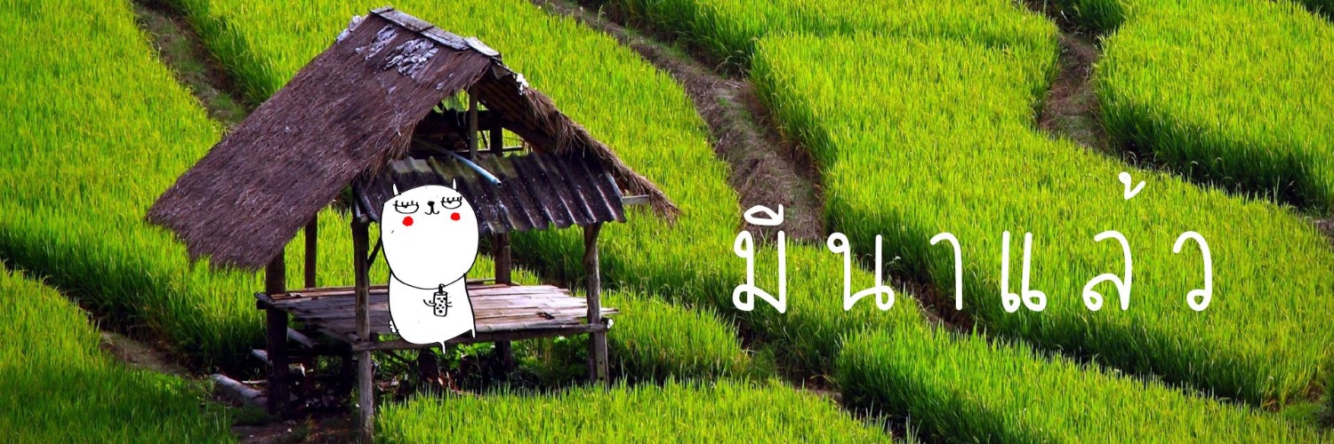 jaytherabbitofficial banner