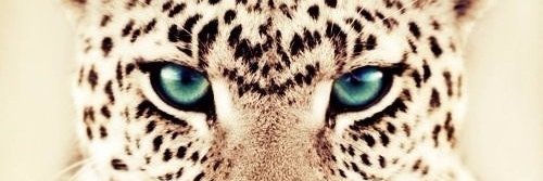 code10's profile banner image